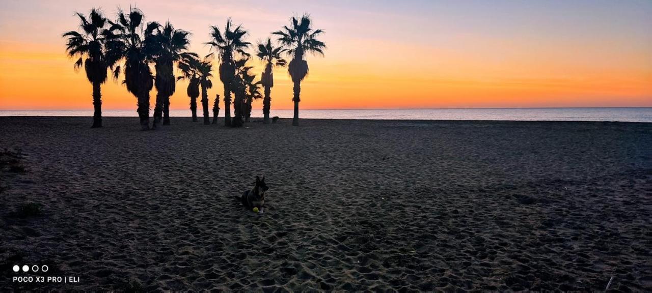 Encantador Apto En La Playa Coma-ruga Eksteriør billede